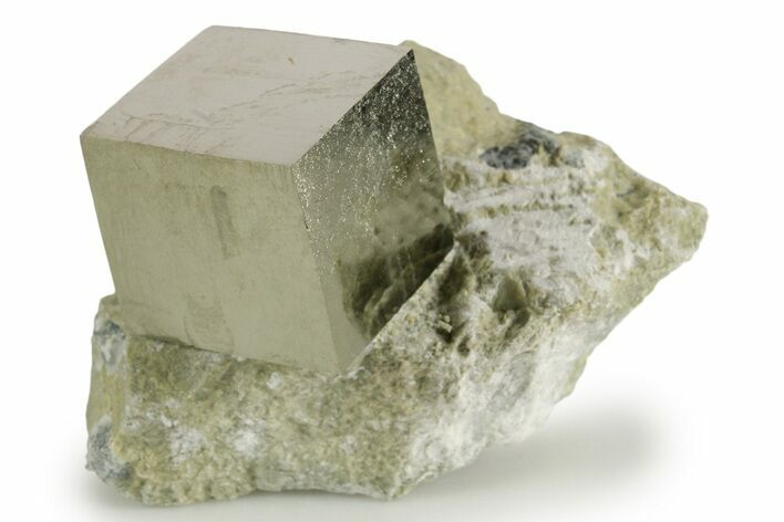 Natural Pyrite Cube In Rock - Navajun, Spain #337880